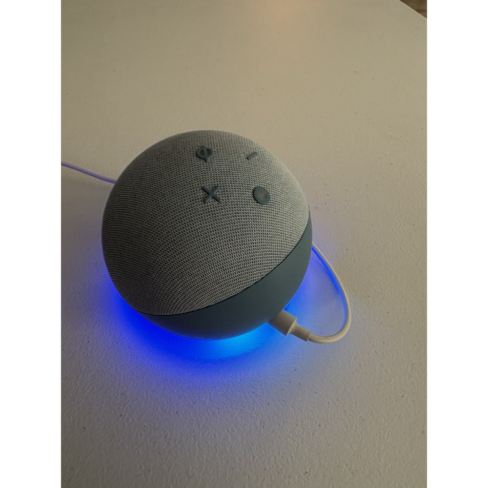 Amazon Echo Dot (4th Gen.) Smart Speaker  Light Blue Working Reset Ready To Go